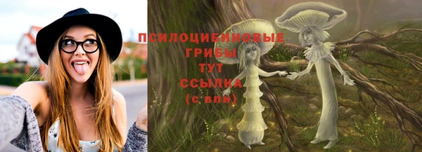 герыч Алексин