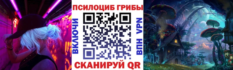 Псилоцибиновые грибы Cubensis Лысьва
